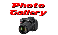 Click Here